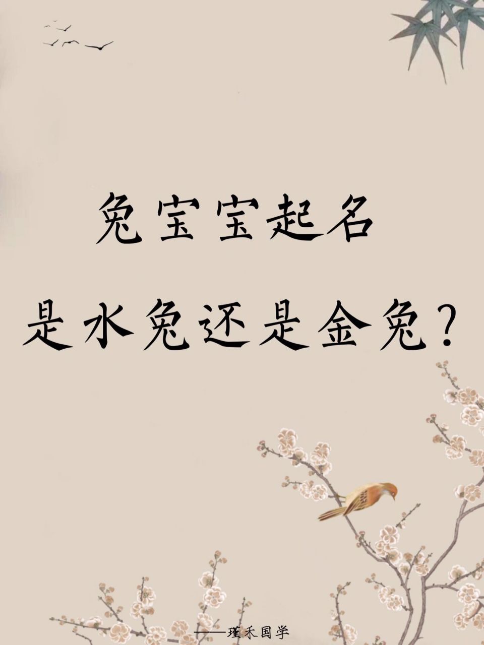 2023年什么命
