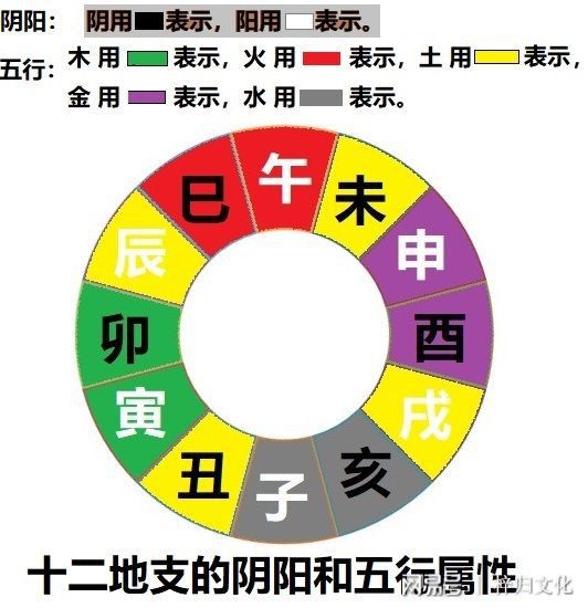 十二地支五行属性