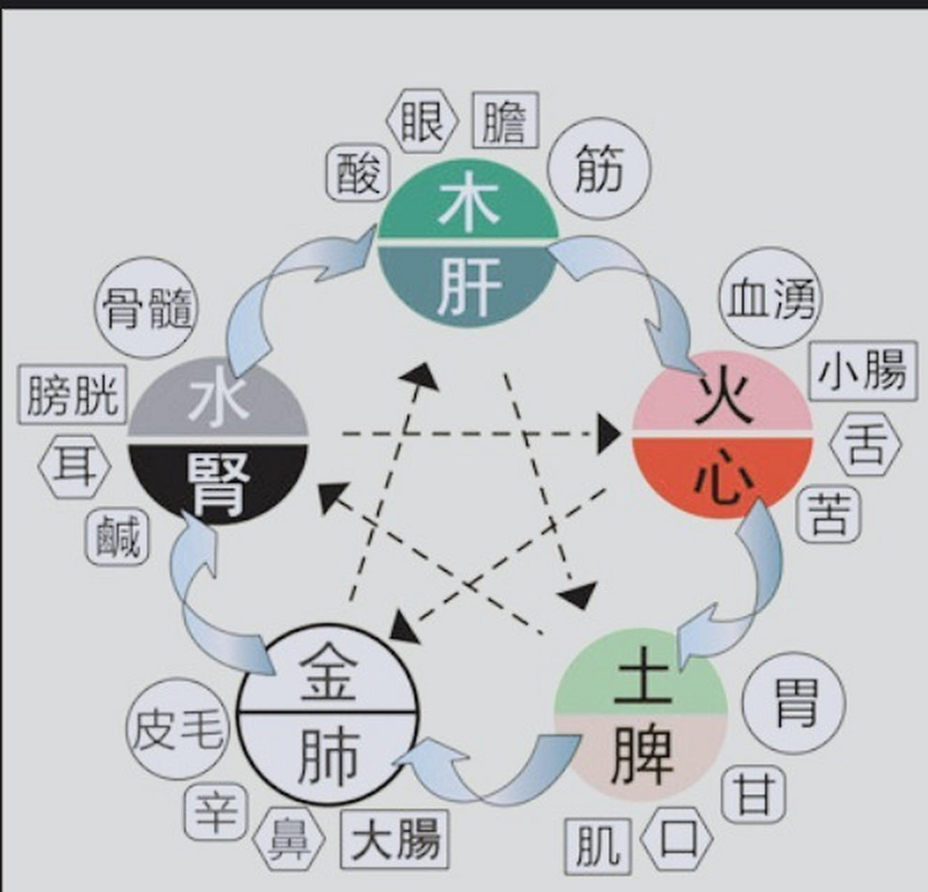 五行对应五脏