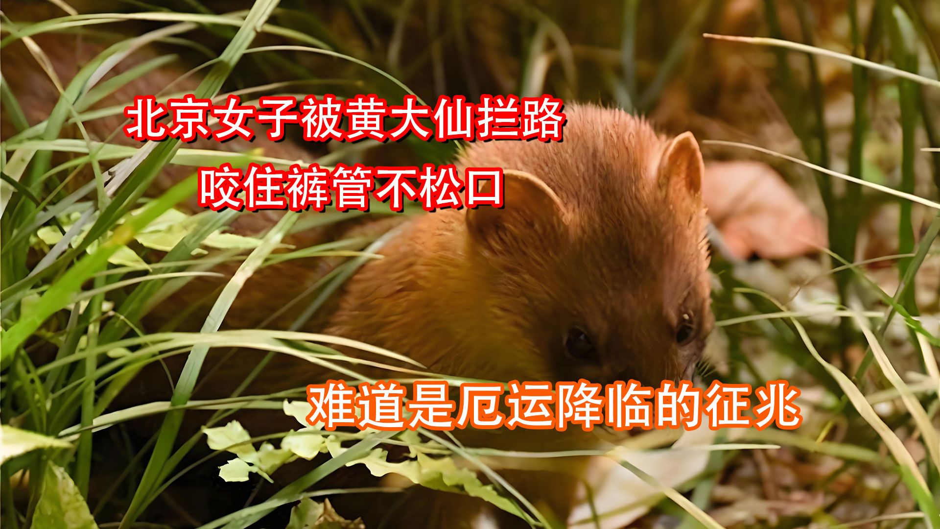 841995高手论坛841995黄大仙