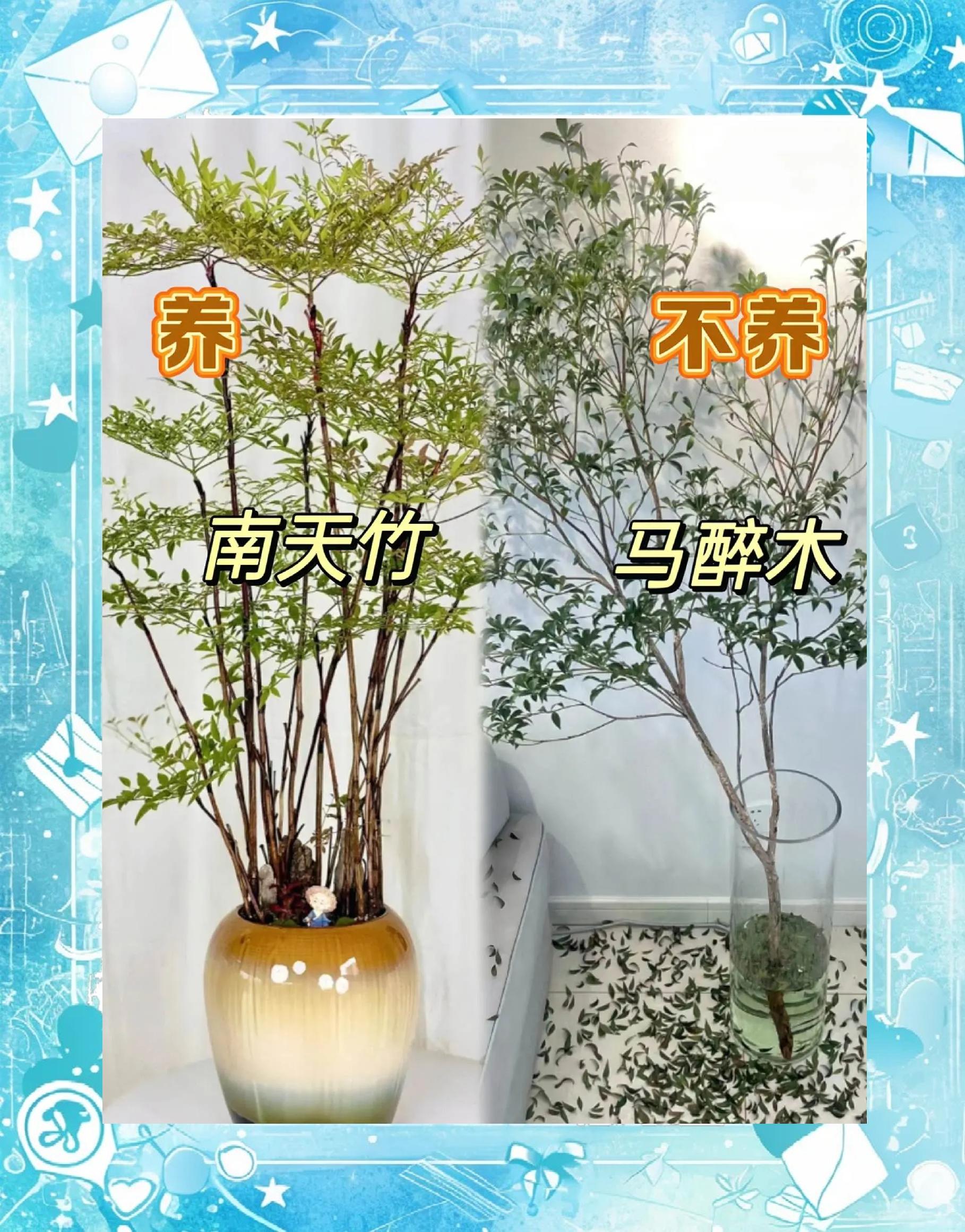 客厅忌讳一物