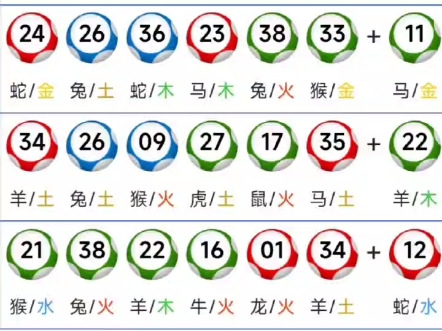 一码一肖期期中特一1