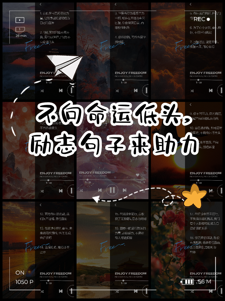 从不向命运低头