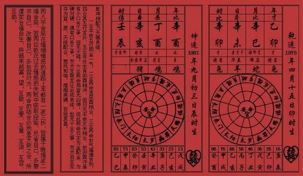科普展现:辛巳日柱女命（辛巳日柱女命特点）