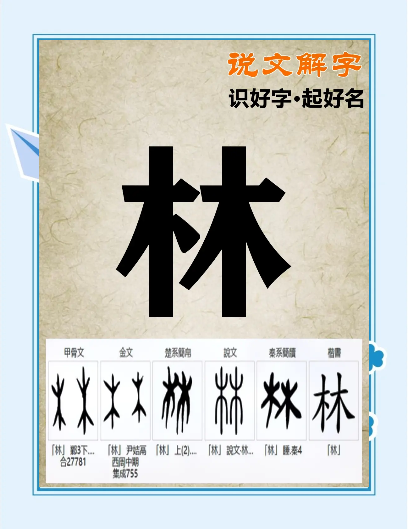 科普展现:林字取名寓意（林字取名寓意详解）