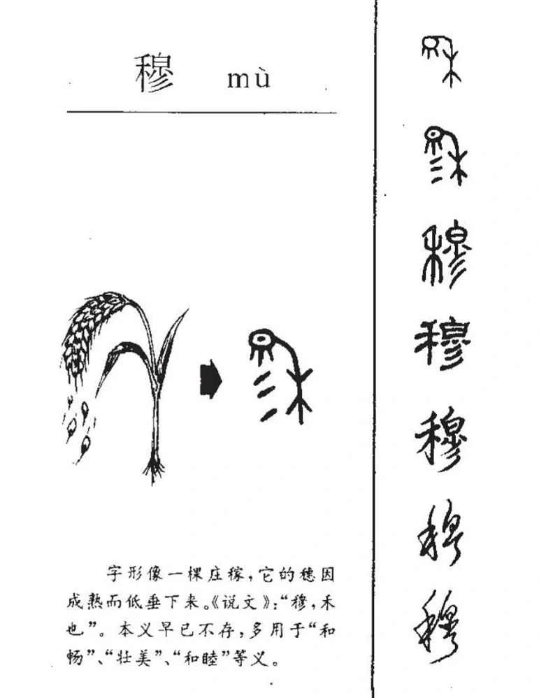 科普展现:秋五行属性（秋属性五行属什么）