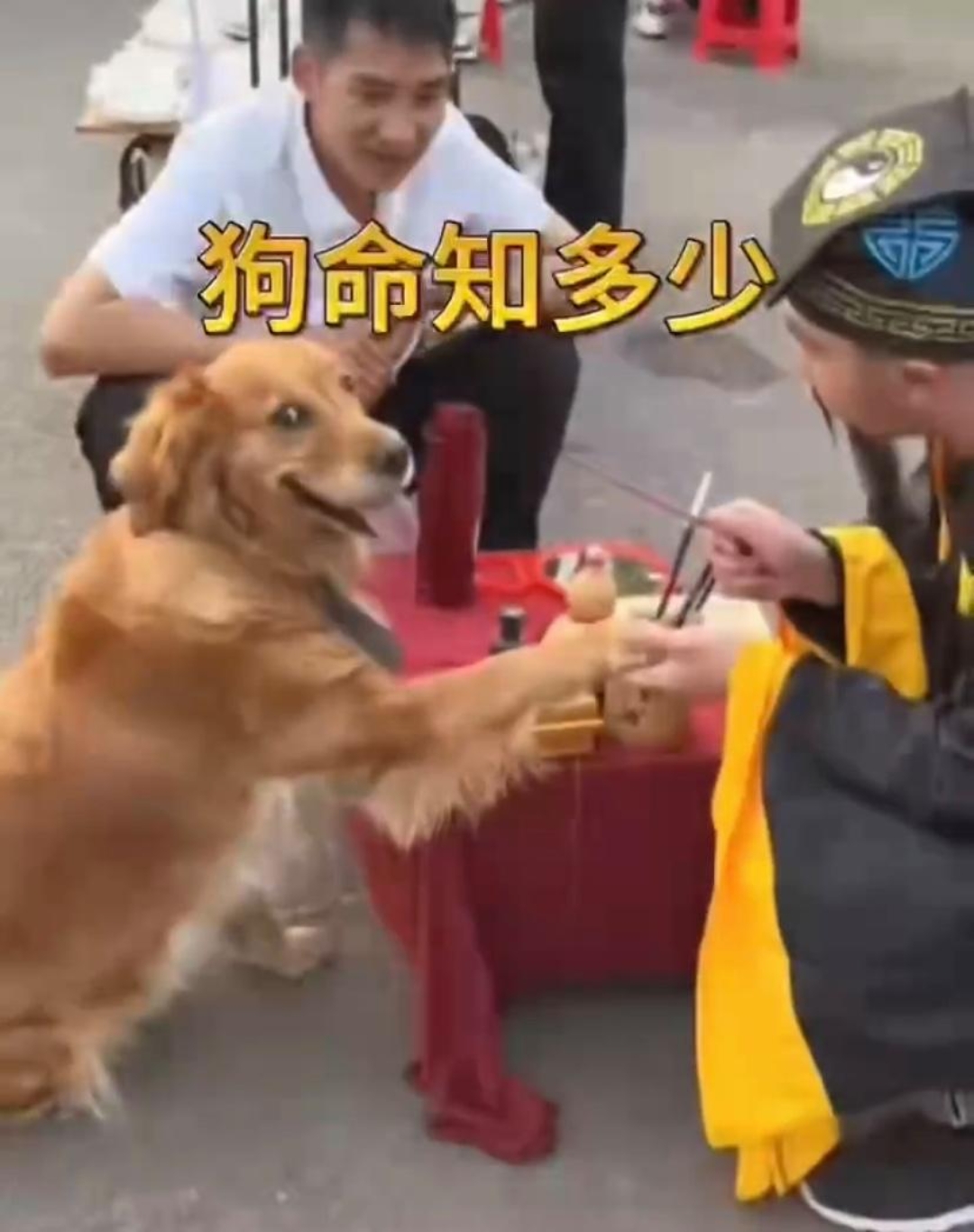 算命准吗能信吗