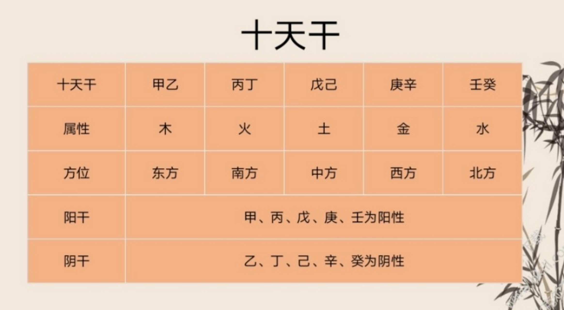 科普展现:十二天干（十二天干属性）
