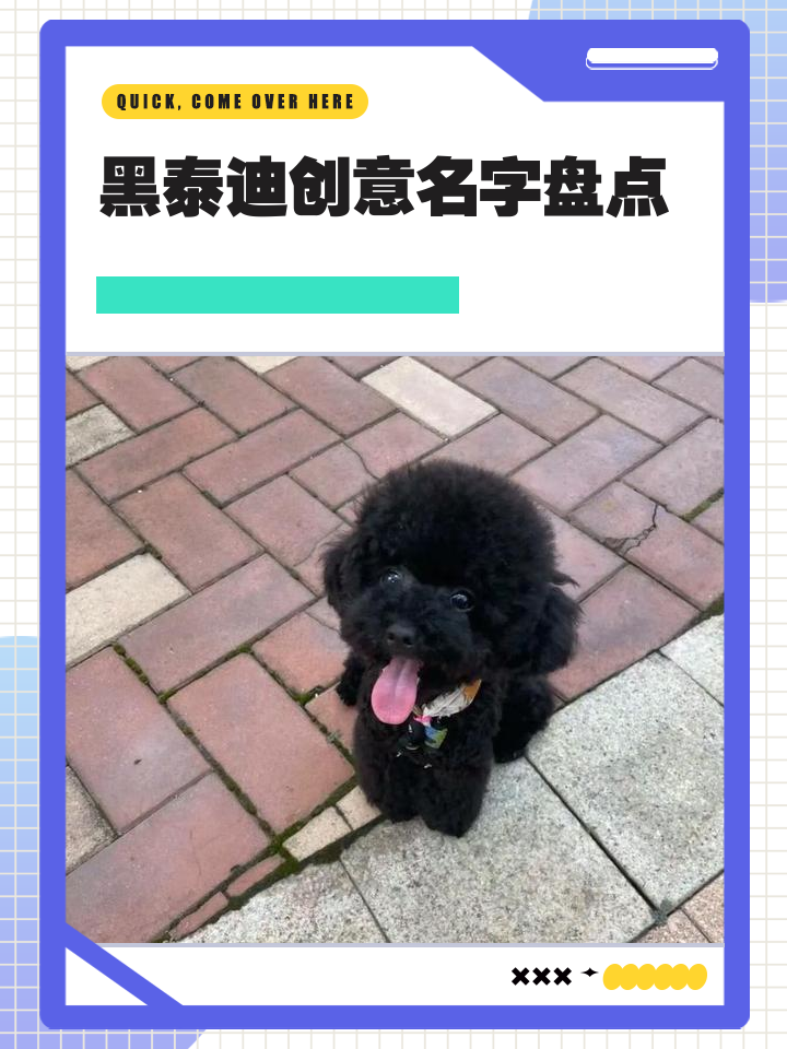 科普展现:泰迪名字（泰迪名字大全）