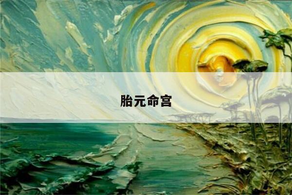 胎元命宫