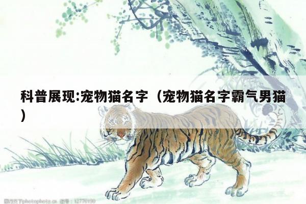 解决方案 第38页
