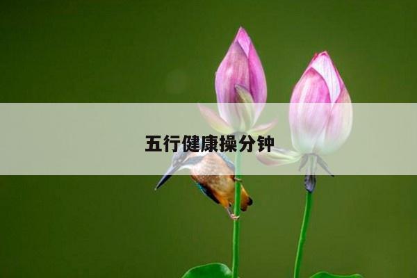 五行健康操分钟