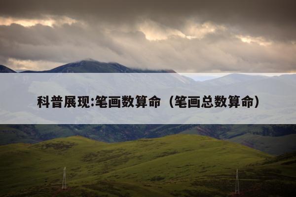 算命 第2页