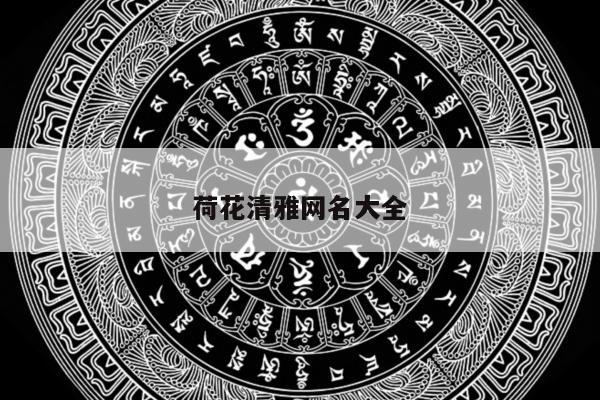 荷花清雅网名大全