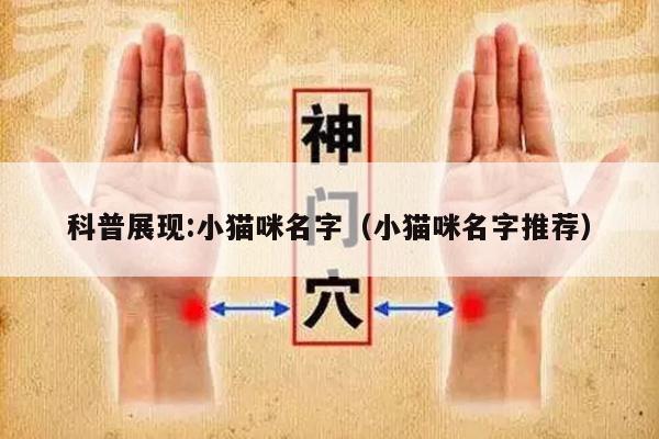 科普展现:小猫咪名字（小猫咪名字推荐）