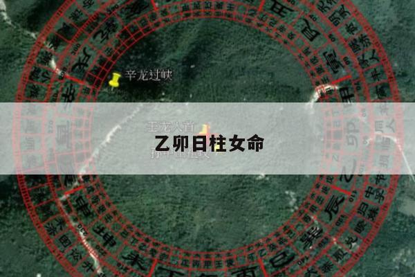 乙卯日柱女命