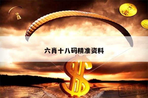 六肖十八码精准资料