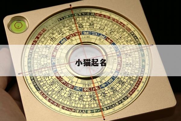 小猫起名