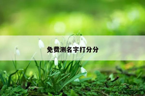 免费测名字打分分