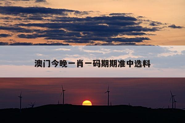 澳门今晚一肖一码期期准中选料