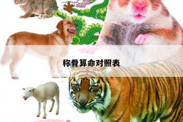 称骨算命对照表