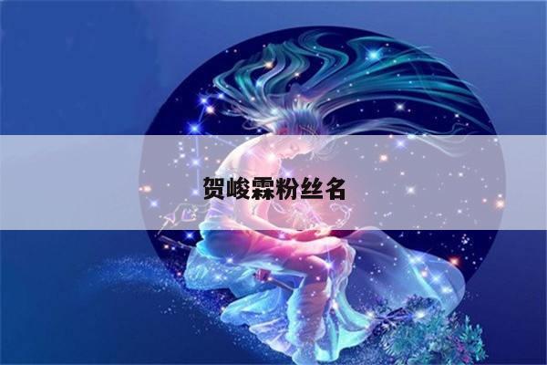 贺峻霖粉丝名