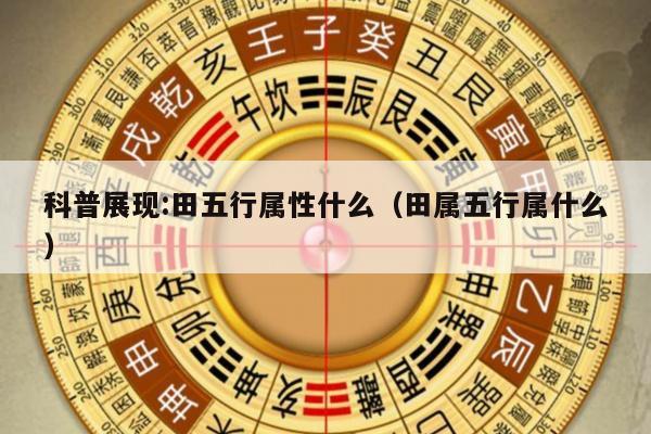 科普展现:田五行属性什么（田属五行属什么）