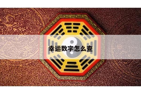 幸运数字怎么查