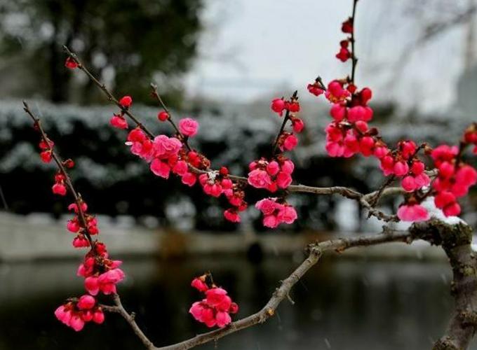 解决方案 第46页