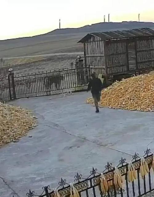 黑龙江监控高清,黑龙江监控录像