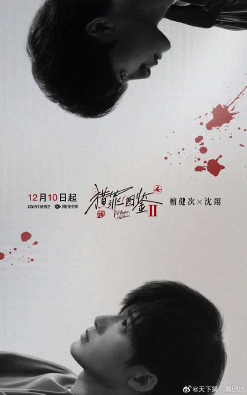 音乐会电视剧免费观看30集,音乐会电视剧免费观看30集爱奇艺播放