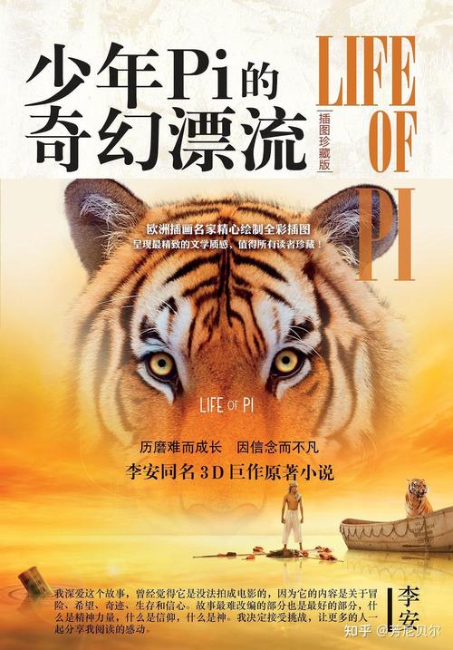 少年派的奇幻漂流,少年派的奇幻漂流国语版高清