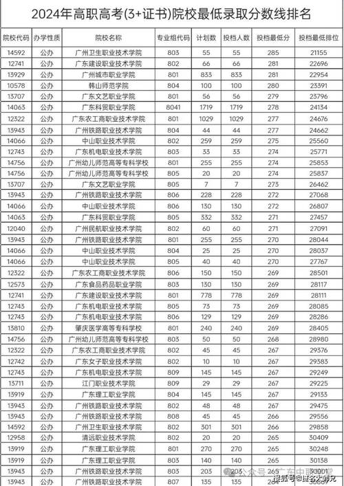 三校生体育专业,三校生体育专业录取分数线