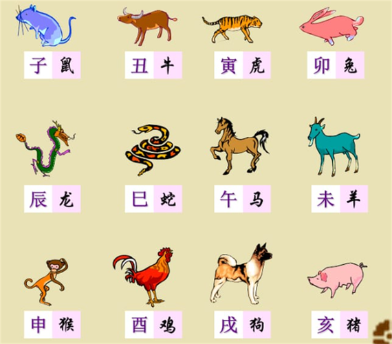 正宗黄大仙中特一肖,黄大仙选一肖