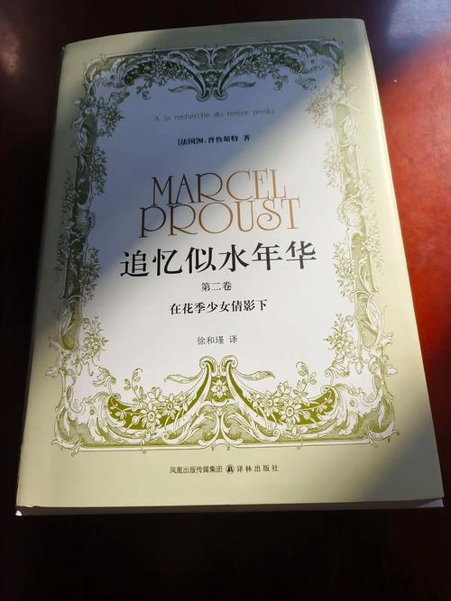 追忆似水年华,追忆似水年华为什么千万别读