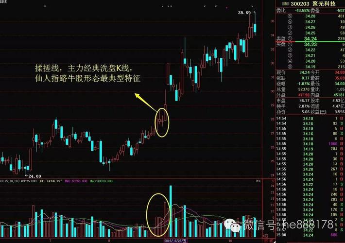 仙人指路澳门资料全网最准,仙人指路开奖结果最准的网站
