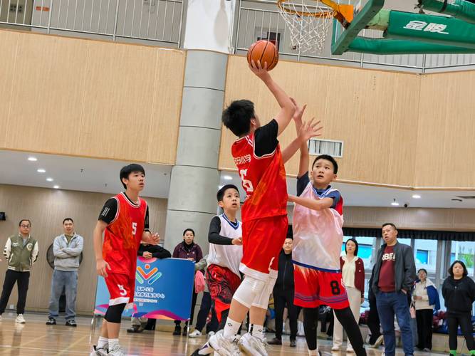 体育足球篮球赛事,体育足球篮球赛事有哪些